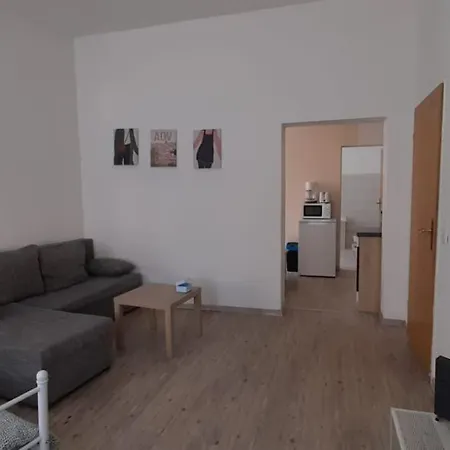Beautiful For 5-7 Guests Apartment Zeitz