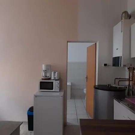 Beautiful For 5-7 Guests Apartment Zeitz