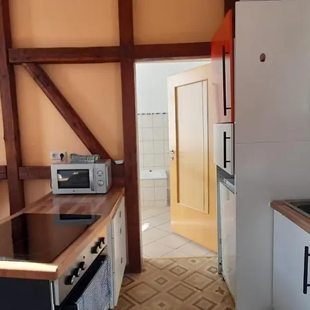 Beautiful For 5-7 Guests Apartment Zeitz